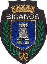 Dépannage informatique sur Biganos